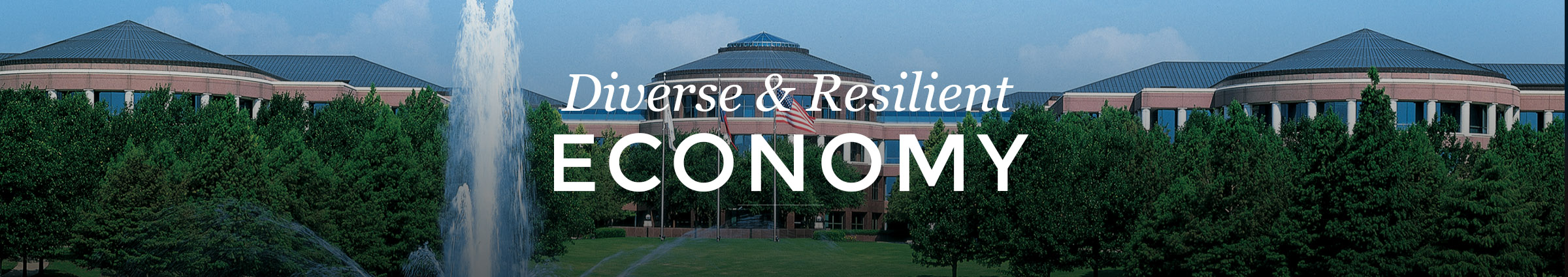 Diverse and Resilient Economy 