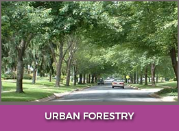 Urban Forestry